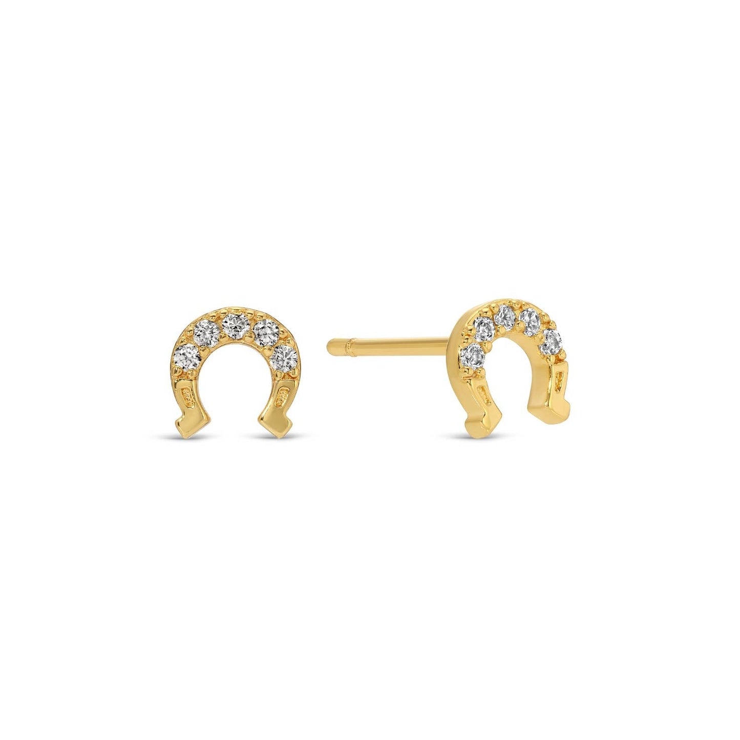 Western Themed Earring Set
