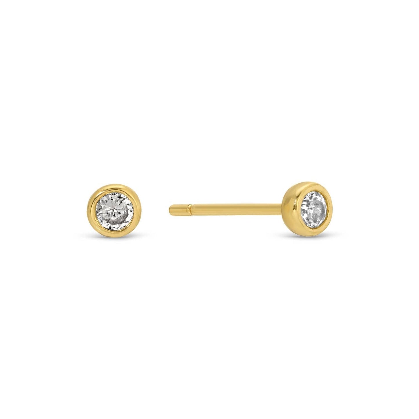 Western Themed Earring Set
