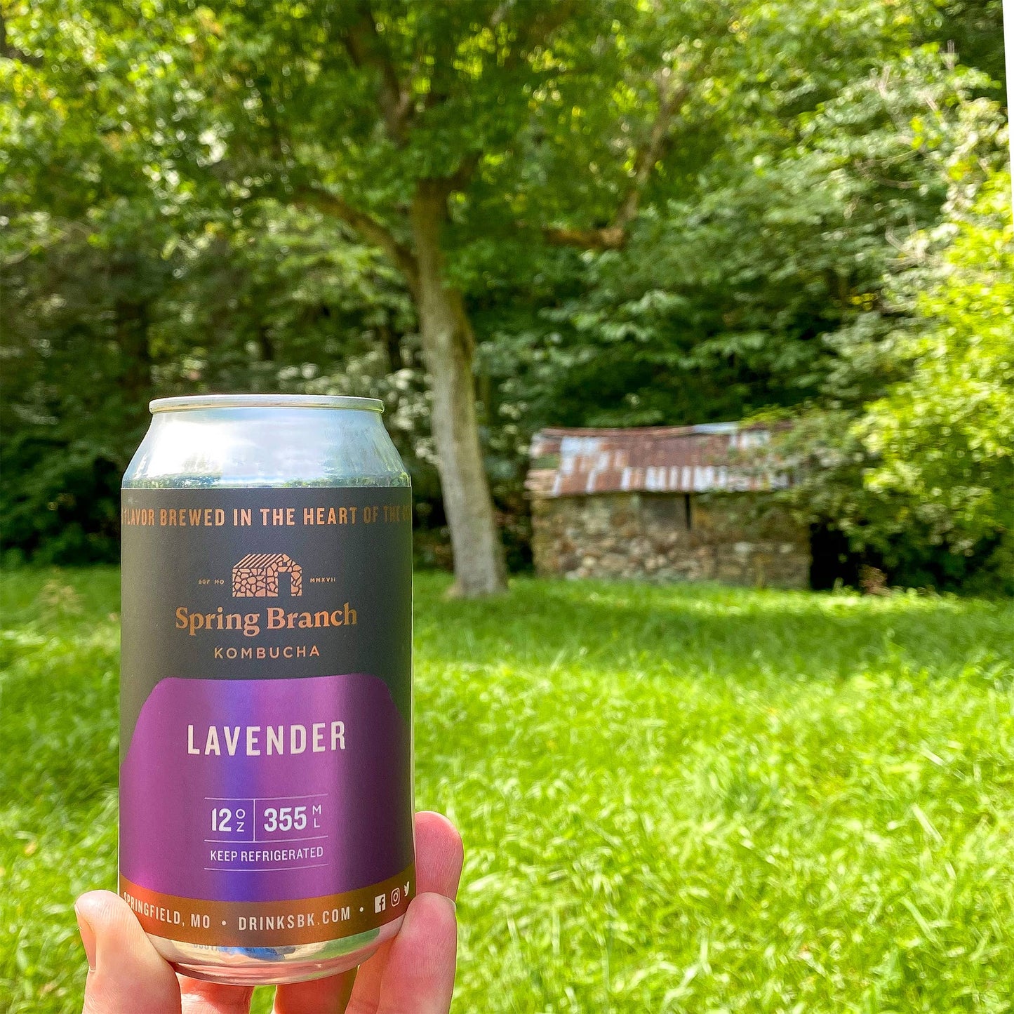 Zen Kombucha (3 Flavors)