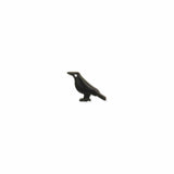 Literary Quotes Raven Post Earrings