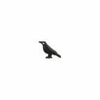 Literary Quotes Raven Post Earrings
