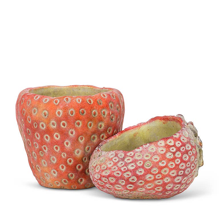 Laying Strawberry Planter-4"H-546
