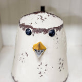 Metal Chicken Planter with Handle