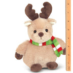 Bucky the Reindeer