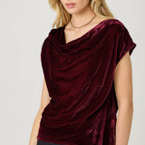 61197 Velvet Cowl Neck Top