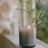N˚07 Rosewood Candle | Bruised Rose & Sandalwood
