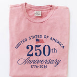 UNITED STATES OF AMERICA Mineral Graphic Top