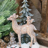 Woodland Animals