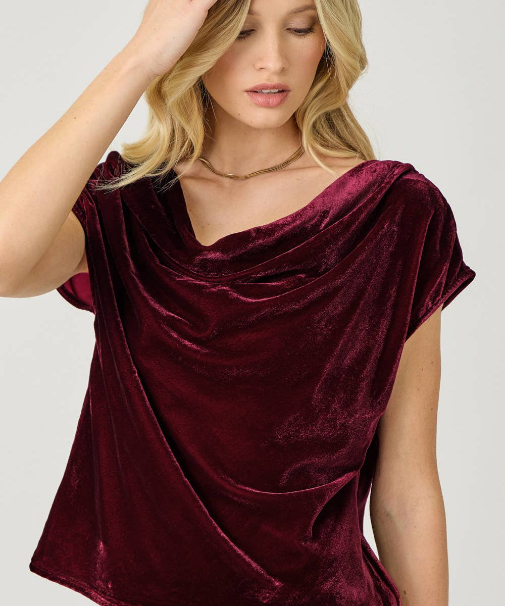 61197 Velvet Cowl Neck Top