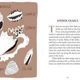 Pocket Nature: Beachcombing