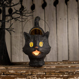 Scaredy Sassy Cat Bucket