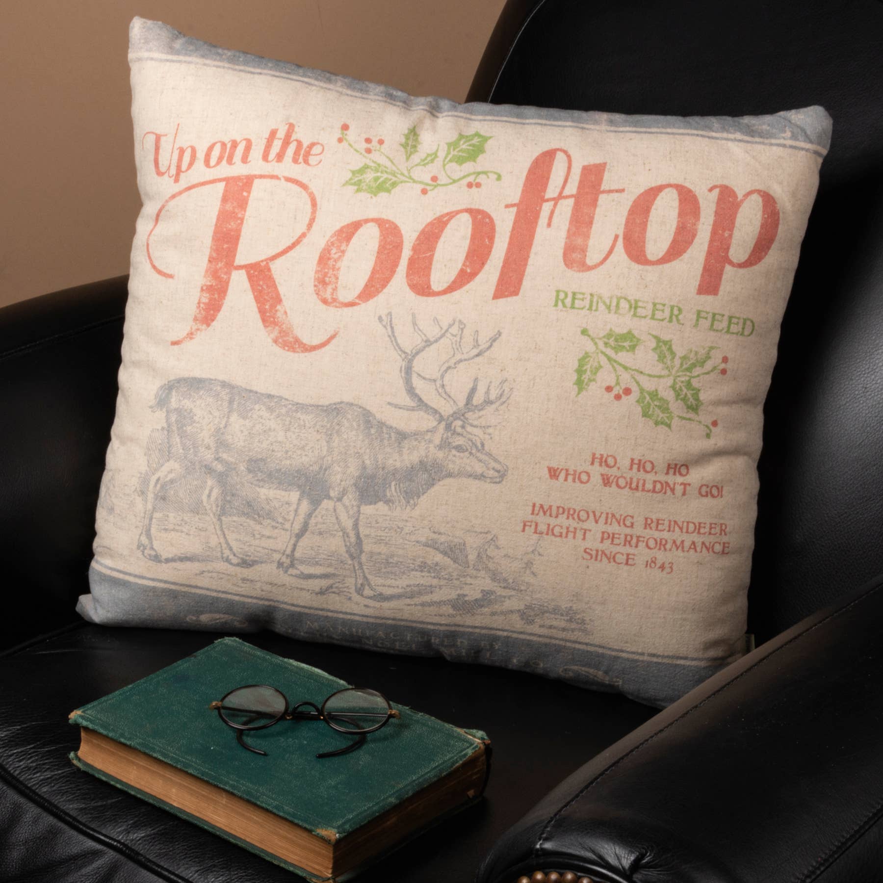 Up On The Rooftop Pillow