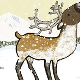 Christmas Is Joy