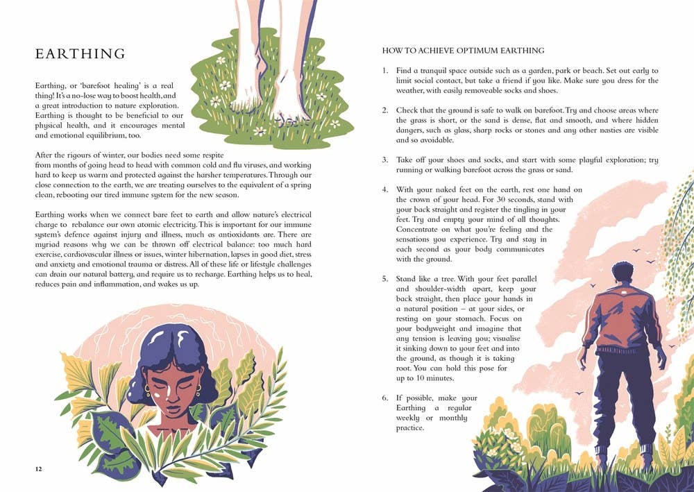 Wild Handbook