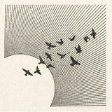 'Mid Air' Print