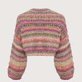 Multicolored Crop Knit Cardi