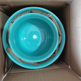 Emerald Forest Mushroom 5" Planter