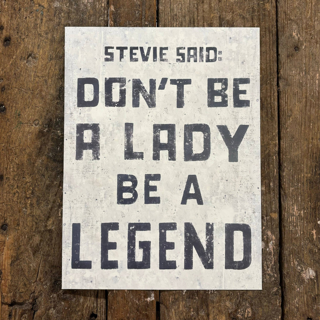 Stevie Art Poster