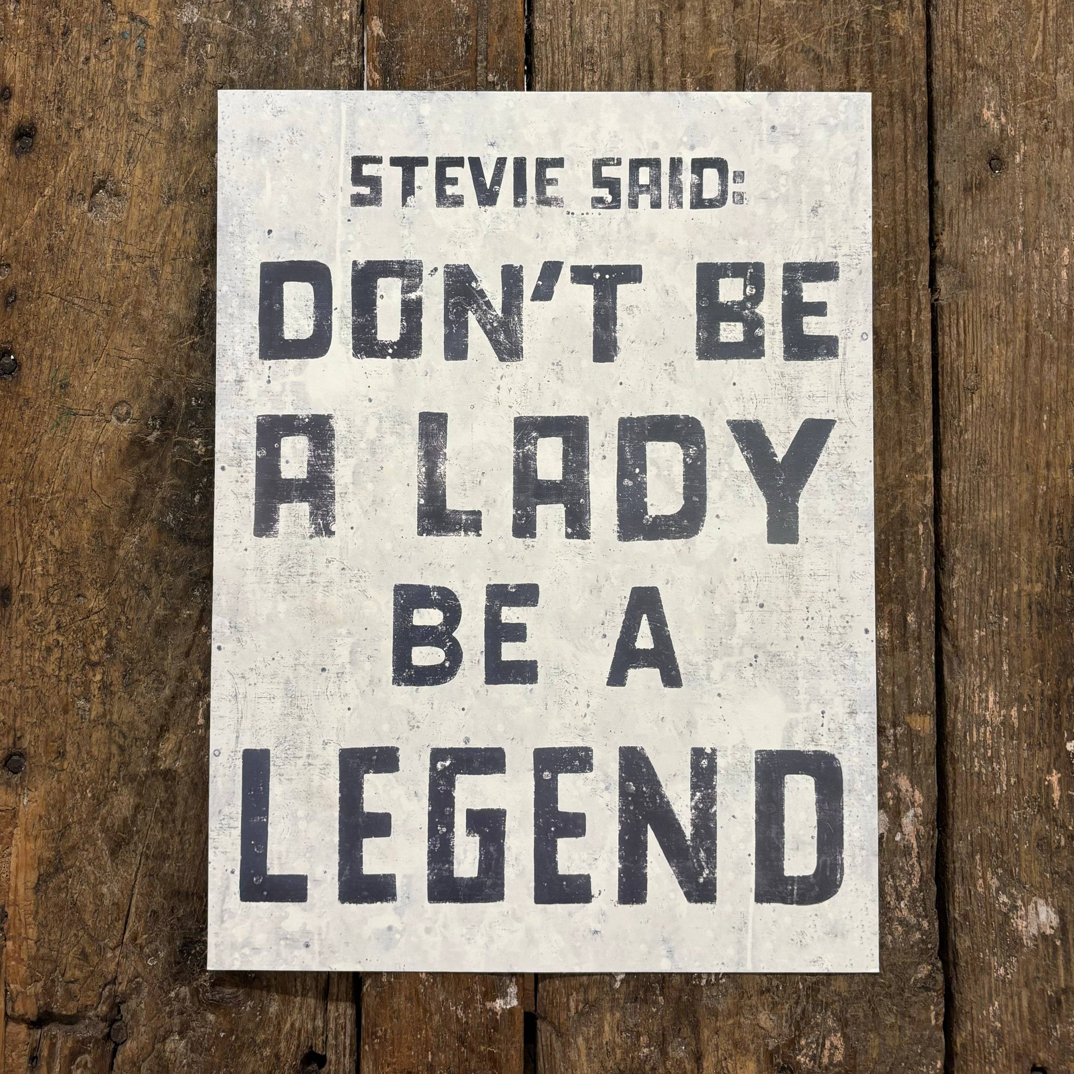 Stevie Art Poster