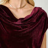 61197 Velvet Cowl Neck Top
