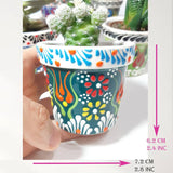 Turkish Ceramic Succulent Pots