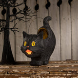 Scaredy Sassy Cat Bucket