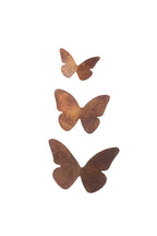 Small Butterfly Installation