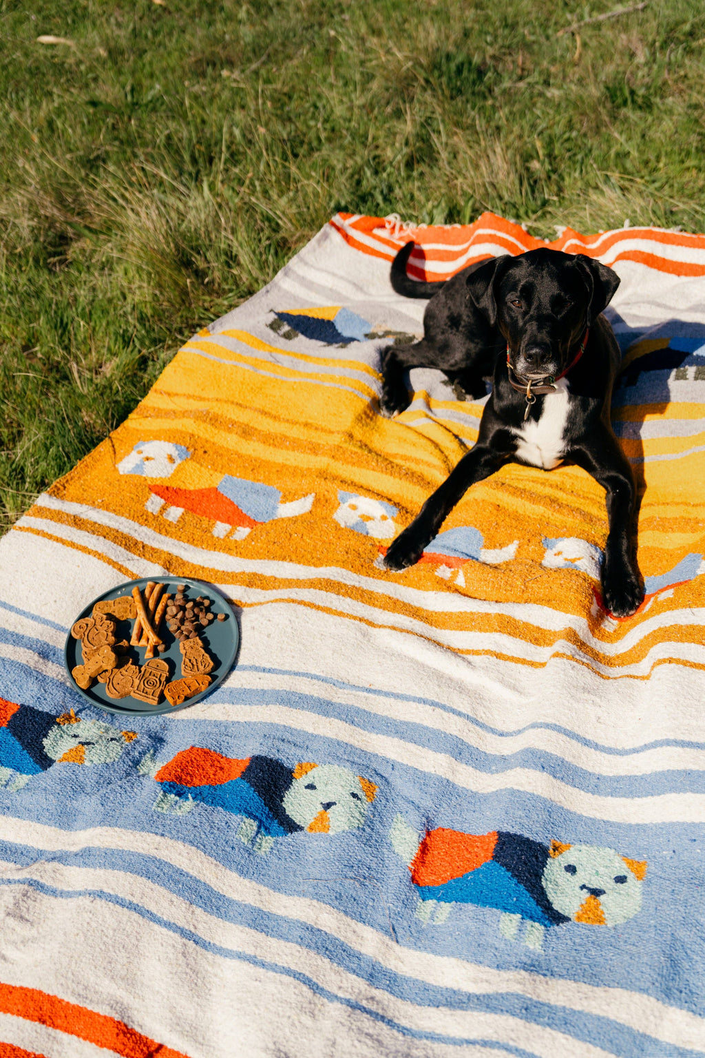 Perro Dorado - Blanket Roll