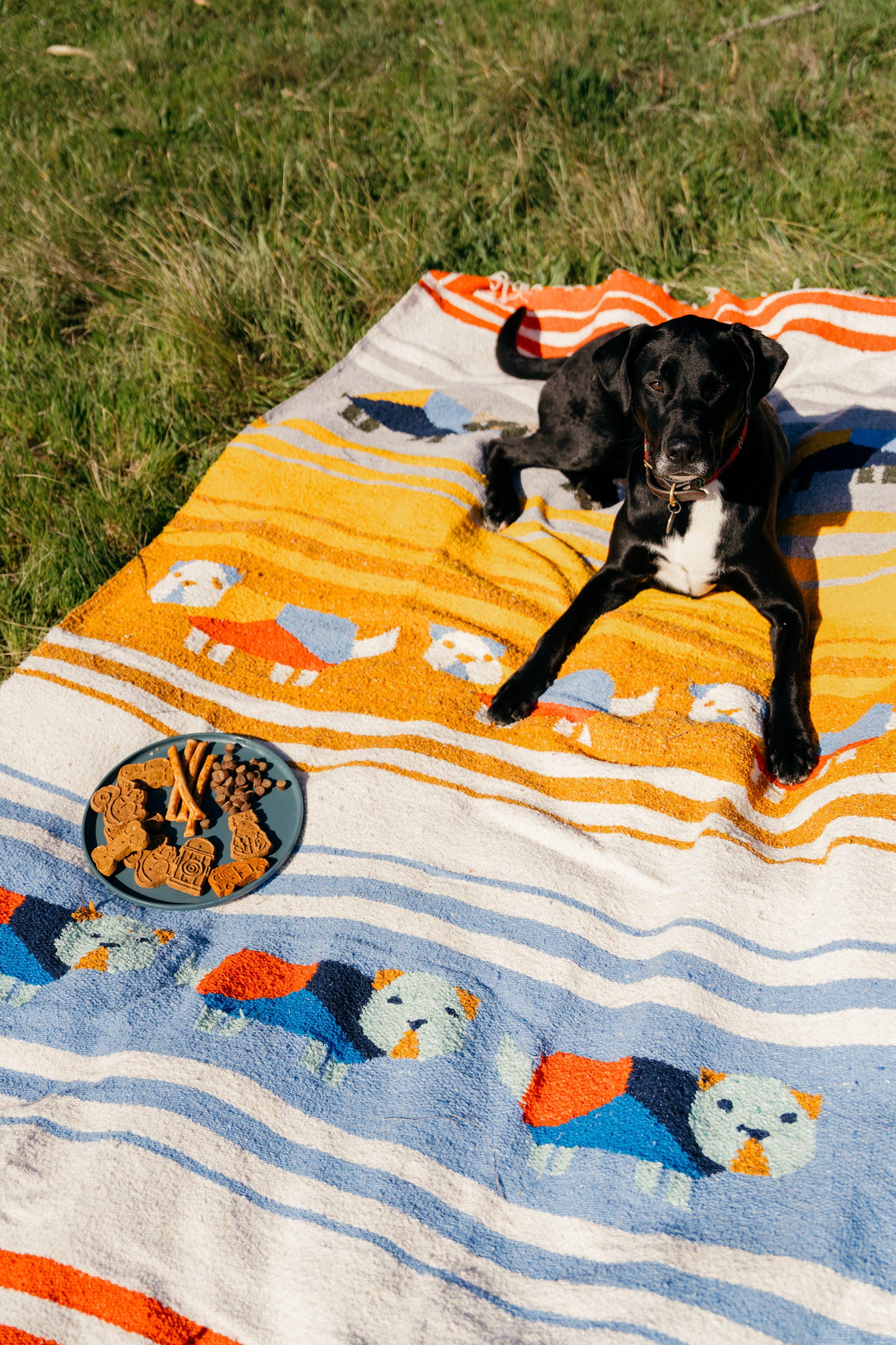 Perro Dorado - Blanket Roll