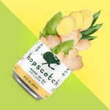 Hopscotch Dry-Hopped Ginger Ale (Case of 16)