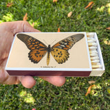 Candle Matches 4 inch • Butterfly • Home Decor for Candles