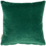 Moon And Stars Pillow