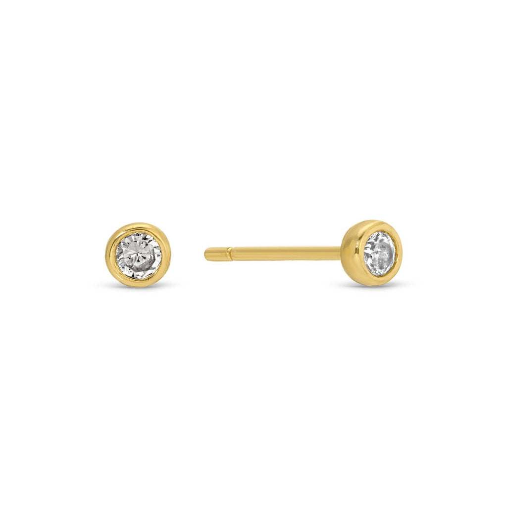 Western Themed Earring Set