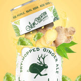 Hopscotch Dry-Hopped Ginger Ale (Case of 16)
