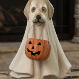 Large Ghost Dog