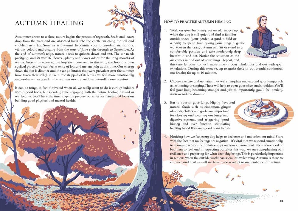 Wild Handbook
