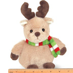 Bucky the Reindeer