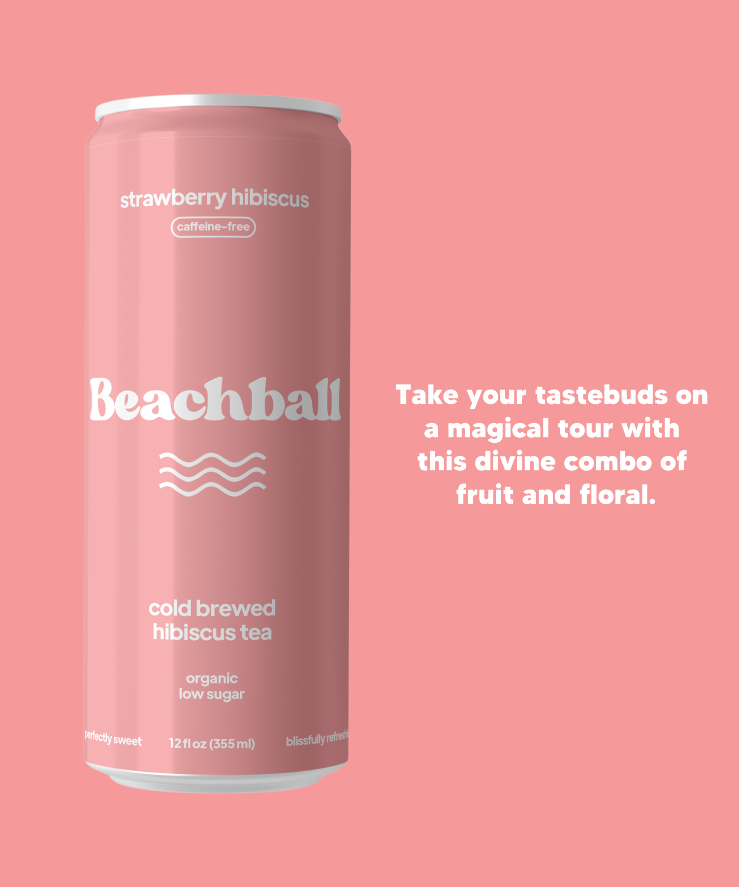 Beachball Organic Canned Iced Tea